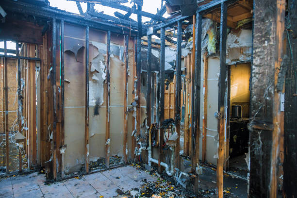 Professional Structural Rebuild technician working in Webster, TX